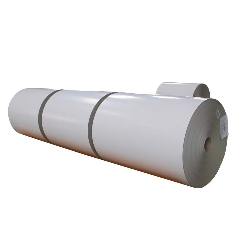 One side coated Duplex Board grey back in roll / sheets