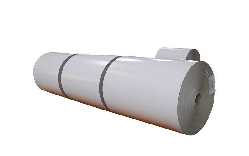 One side coated Duplex Board grey back in roll / sheets