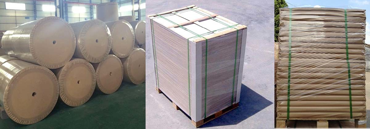 pe coated paper sheets sheets for frozen food NEW BAMBOO PAPER