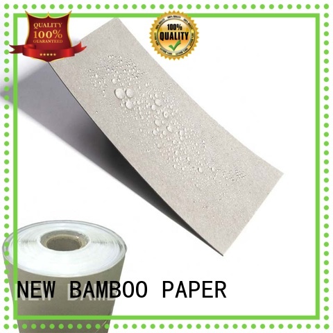 NEW BAMBOO PAPER durable pe coated paper roll bulk production for frozen food