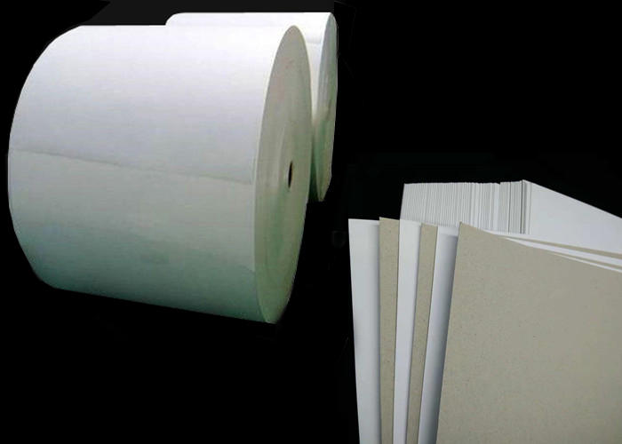 Duplex Chipboard One Side White Cardboard - Material & Option Library